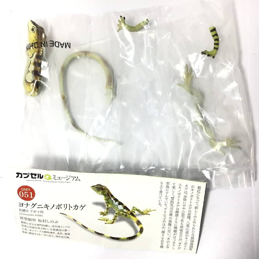 Amazon | 日本の動物コレクション7 八重山諸島/ヤマネコの島